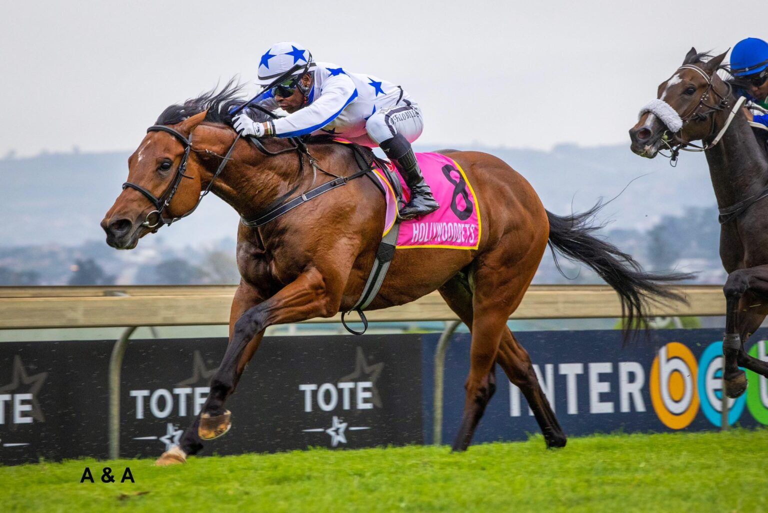 Gareth van Zyl-trained WILD JUSTICE runs in Race 7 – The Byerley Turk ...